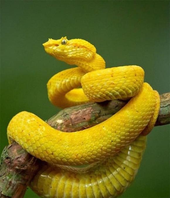 tu-vi-ngay-24-9-2025-cua-12-con-giap (2).jpg 0 Tử vi, con giáp, tử vi hàng ngày, tử vi ngày 24/9/2025