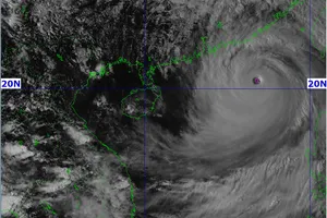 Tiếp tục có phương án ứng phó cụ thể với siêu bão Ragasa