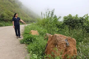 Đi tỉnh lộ ở Quảng Ngãi, thấp thỏm đá tảng rơi xuống đầu