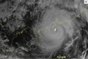 Bão Ragasa giảm cường độ, không còn cấp siêu bão