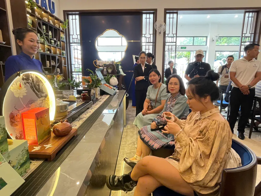 Trong thời gian tới, TP.HCM gắn kết với tỉnh Lâm Đồng phát triển sản phẩm du lịch thưởng trà, đặc biệt xây dựng không gian trà tại các cơ sở lưu trú. Ảnh: TT. Trong thời gian tới, TP.HCM gắn kết với tỉnh Lâm Đồng phát triển sản phẩm du lịch thưởng trà, đặc biệt xây dựng không gian trà tại các cơ sở lưu trú. Ảnh: TT