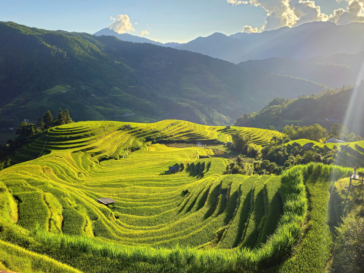 Ngắm những thửa ruộng bậc thang tuyệt đẹp ở Hoàng Su Phì - Ảnh 4.