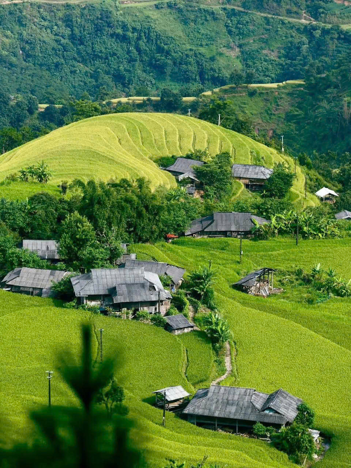 Ngắm những thửa ruộng bậc thang tuyệt đẹp ở Hoàng Su Phì - Ảnh 5.