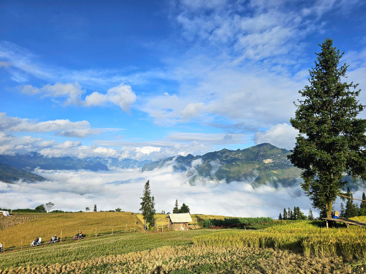 Ngắm những thửa ruộng bậc thang tuyệt đẹp ở Hoàng Su Phì - Ảnh 6.
