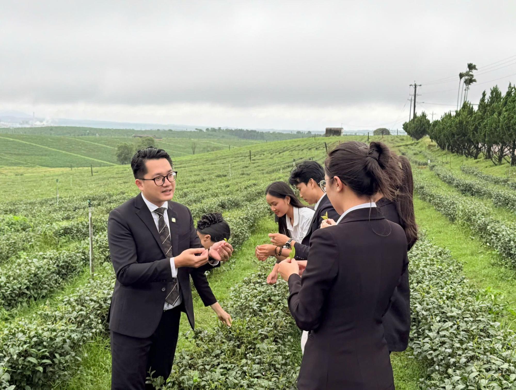 Hành trình trải nghiệm tinh hoa văn hóa trà Việt đầy mới mẻ, ấn tượng- Ảnh 2.