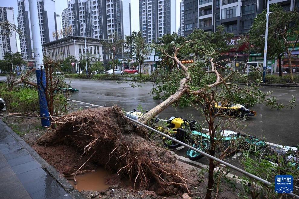 Bão Ragasa: Có uẩn khúc sau thảm họa vỡ hồ chắn, nước lũ ồ ạt ở Đài Loan - Trung Quốc?- Ảnh 4. Bão Ragasa: Có uẩn khúc sau thảm họa vỡ hồ chắn, nước lũ ồ ạt ở Đài Loan - Trung Quốc?- Ảnh 4.