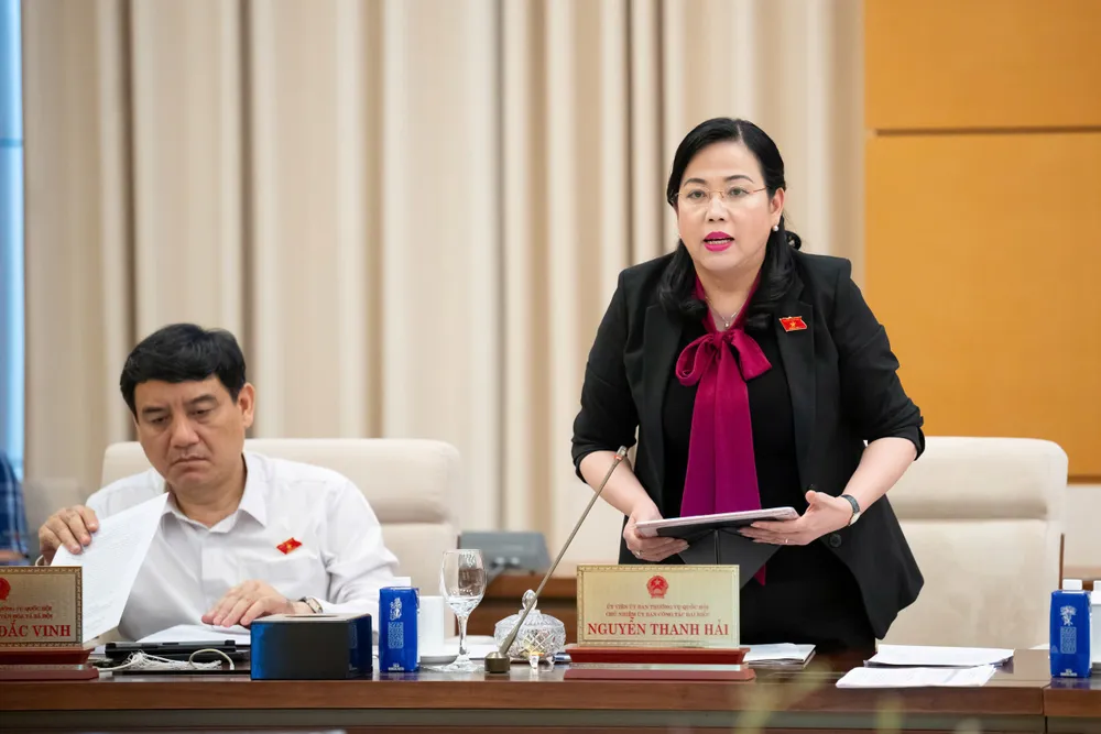 Chủ nhiệm Ủy ban Công tác đại biểu Nguyễn Thanh Hải. Ảnh: QH kiem-toan-nha-nuoc-hai.jpg