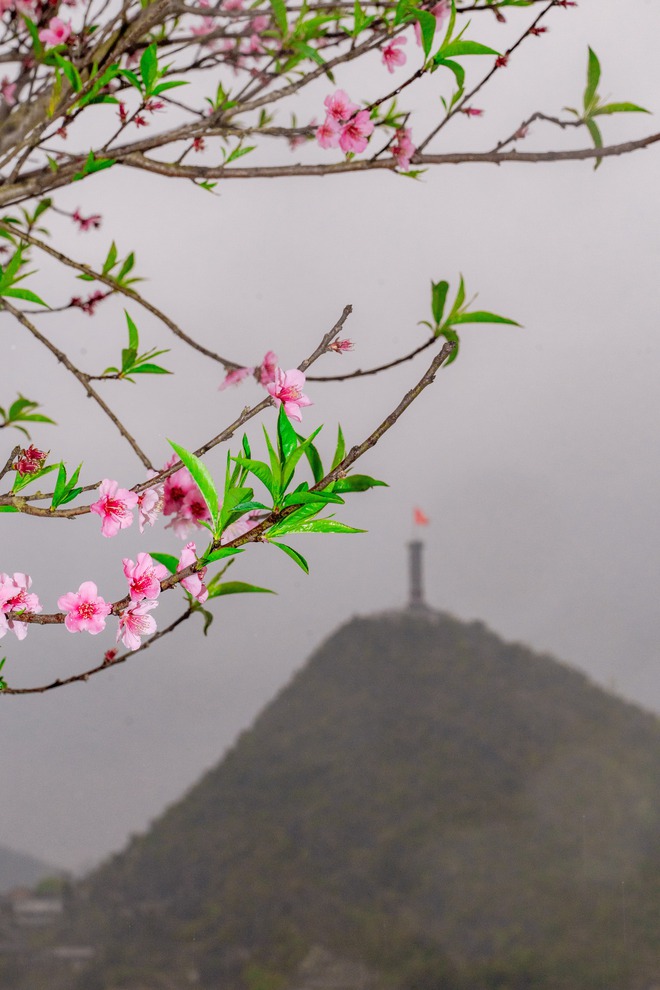 VIDEO: Khám phá địa đầu Tổ quốc với “Hộ chiếu Hà Giang”- Ảnh 9. VIDEO: Khám phá địa đầu Tổ quốc với “Hộ chiếu Hà Giang”- Ảnh 9.