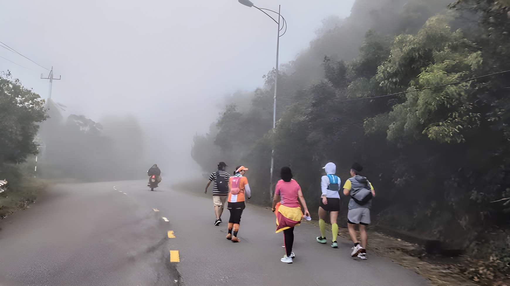 Cuối tuần, lên bán đảo Sơn Trà đi bộ- Ảnh 3. Cuối tuần, lên bán đảo Sơn Trà đi bộ- Ảnh 3.