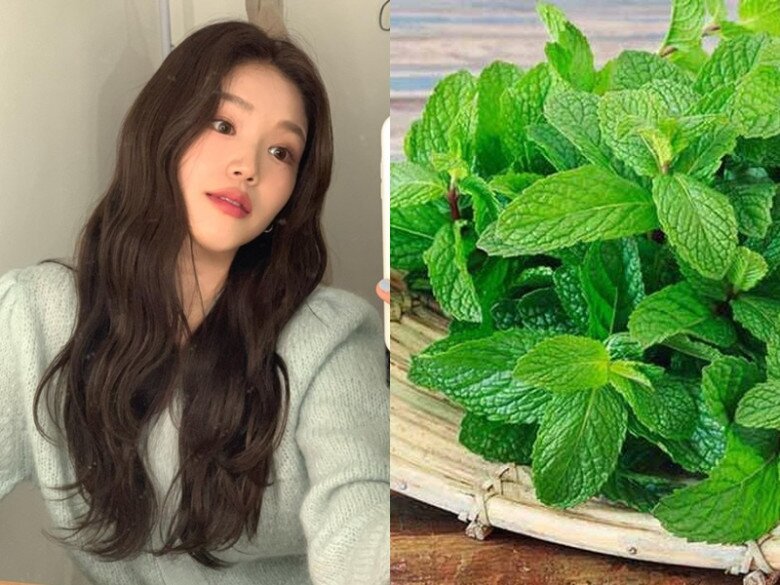 Lá bạc hà giúp tóc mọc nhanh và chắc khỏe hơn.