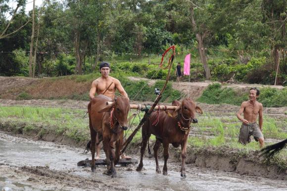 Sao Việt 26/9, tin sao việt mới nhất