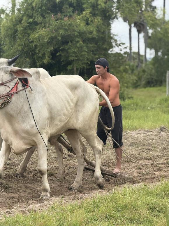 Sao Việt 26/9, tin sao việt mới nhất