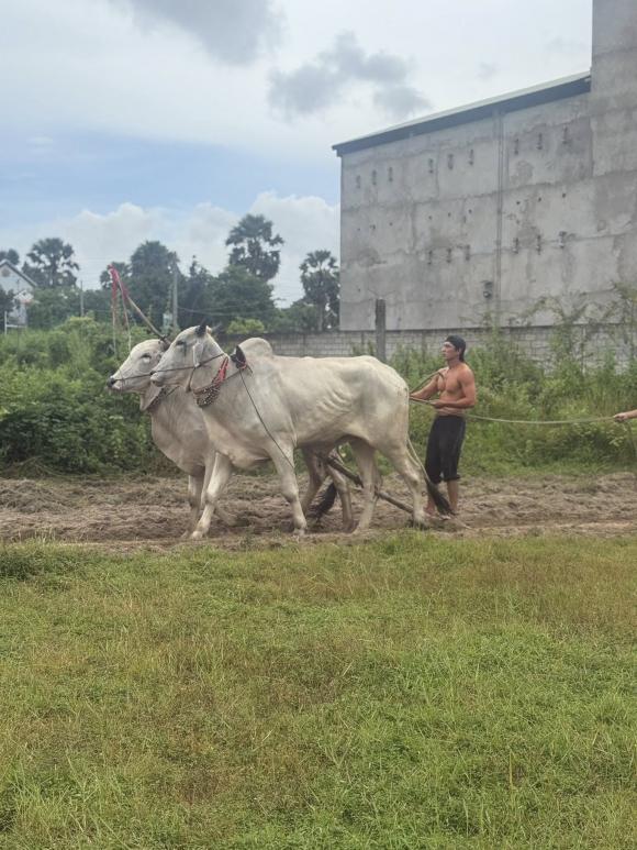 Sao Việt 26/9, tin sao việt mới nhất