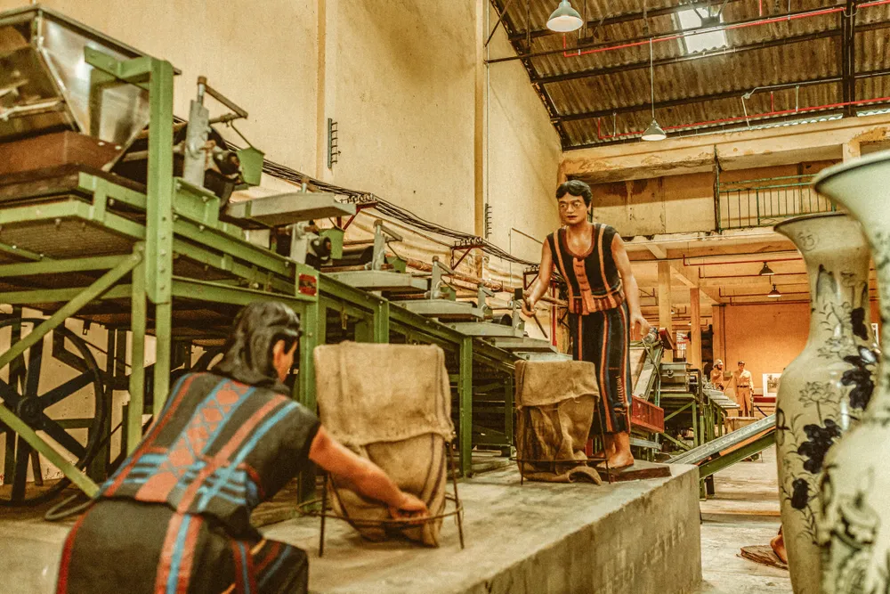 Máy sàng và tách sơ râu - Quy trình Hiện đại.jpg