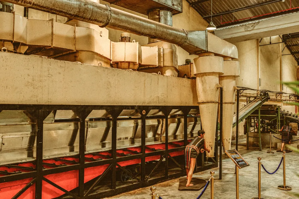 Máy sấy tầng hơi được sử dụng để làm khô trà trong quy trình sản xuất trà đen CTC. Công nhân cũng dùng nhiên liệu chính là củi, trấu để làm chất đốt. Máy sấy - Quy trình hiện đại (1).jpg