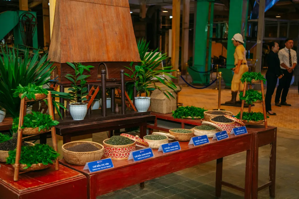 Sau các công đoạn chế biến, những dòng chè mẫu thành phẩm được giới thiệu đến du khách, vừa để thưởng thức hương vị, vừa để hiểu thêm sự tinh tế trong nghệ thuật làm trà. Các dòng mẫu trà.jpg