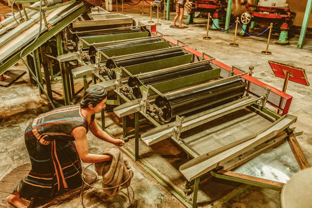 Máy sàng và tách sơ râu - Quy trình hiện đại.jpg