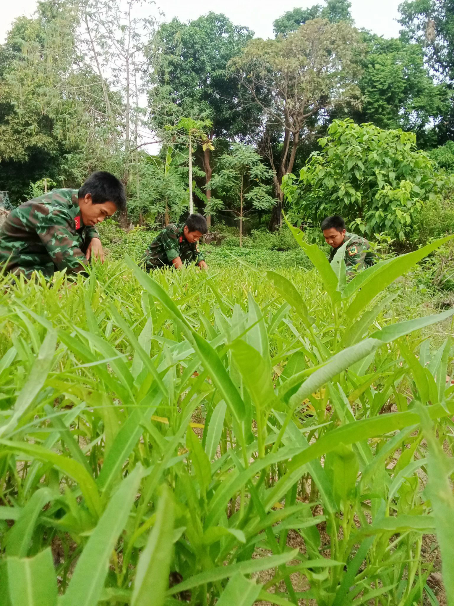 Cuộc thi viết về chủ quyền: Về nơi đầu sóng - Ảnh 4. Cuộc thi viết về chủ quyền: Về nơi đầu sóng - Ảnh 4.