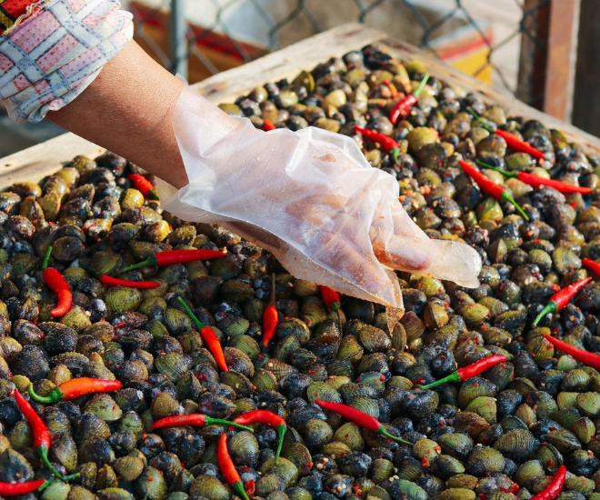 Về An Giang thưởng thức loại đặc sản được ví như "lộc trời cho", hồi xưa ở chợ bán đầy, tên cực lạ 95% người Việt chưa chắc biết 2 Người Tân Châu có nhiều cách biến tấu lía thành những món ăn giản dị mà đậm đà hương vị quê nhà như: lía luộc sả, lía phơi khô tẩm gia vị, hay lía xào tỏi thơm lừng.