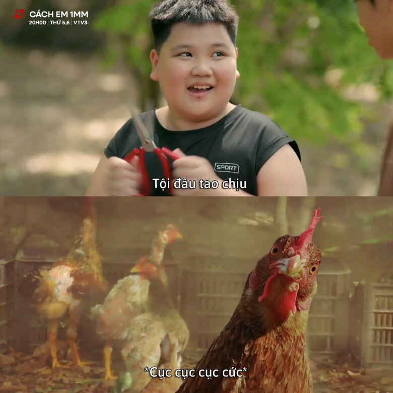 Chiến Đo đã cắt trụi lông của cả chuồng gà để mang lông gà đi bán lấy tiền cho bạn phẫu thuật.