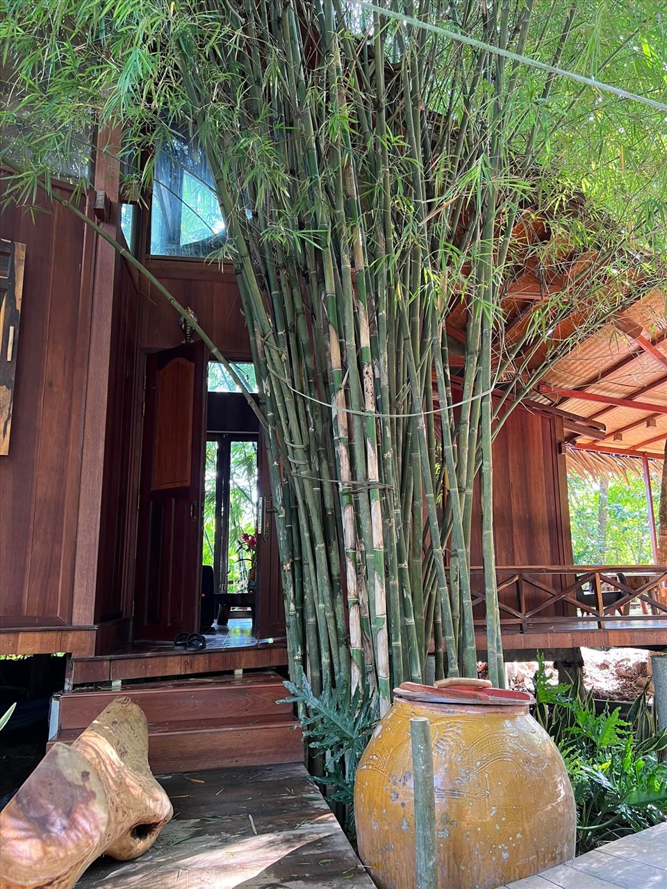 Nữ nghệ sĩ trẻ đẹp là CEO sở hữu spa làm đẹp, khu du lịch sinh thái 50.000m2, sinh 4 con cho đại gia - Ảnh 14. Nữ nghệ sĩ trẻ đẹp là CEO sở hữu spa làm đẹp, khu du lịch sinh thái 50.000m2, sinh 4 con cho đại gia - Ảnh 14.