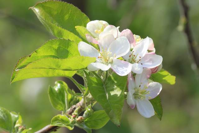 4 điều tưởng đơn giản nhưng làm được chứng tỏ bạn có tầm nhìn thực sự lớn - 4