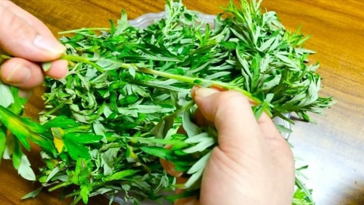 3 món ngon từ loại rau chữa đau đầu, xương khớp, đặc biệt tốt cho phụ nữ - 2