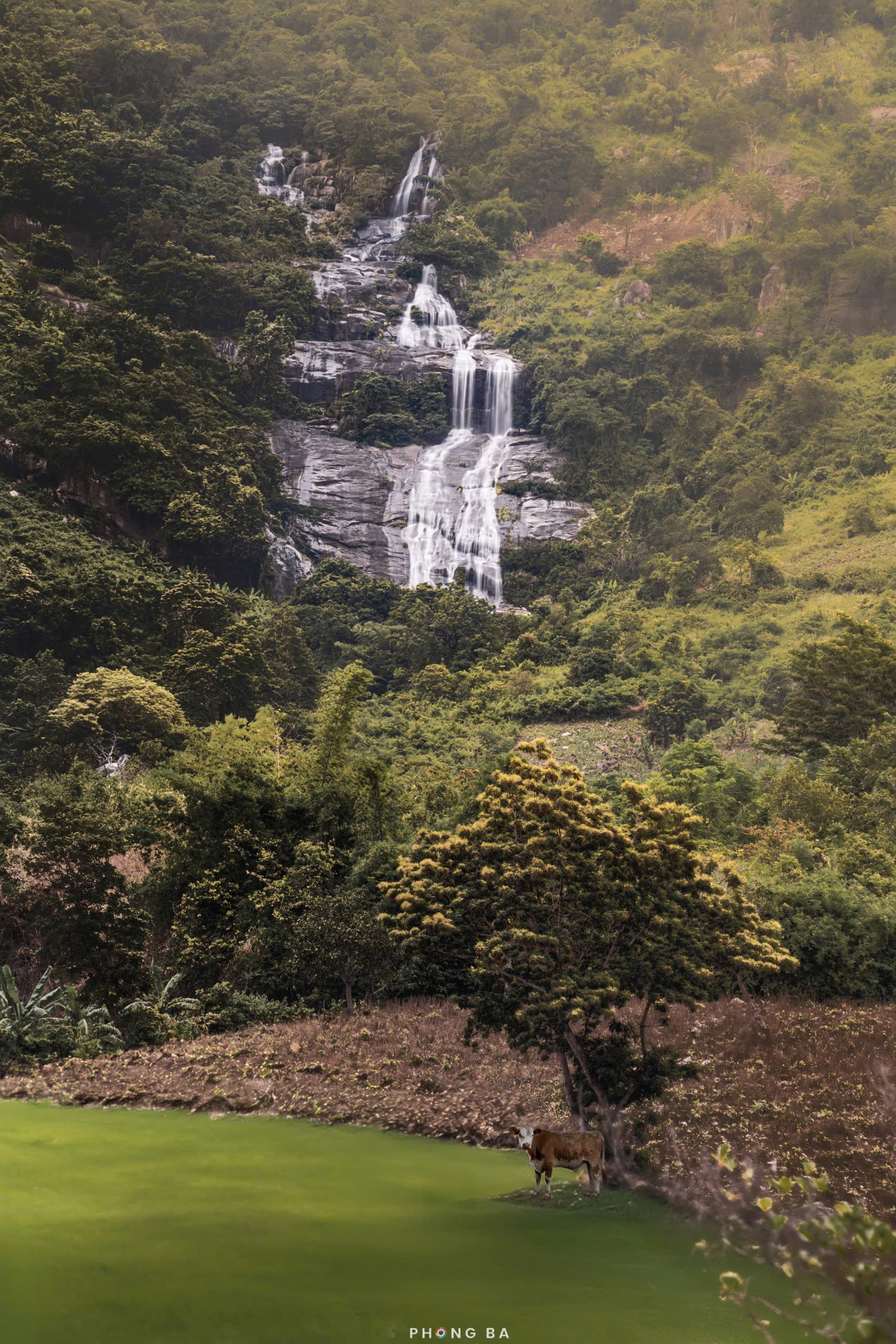 Khám phá thác Bay hùng vĩ giữa rừng già hoang sơ - 2