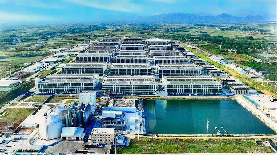 Chính thức ký với đối tác Trung Quốc thực hiện mô hình nuôi heo trong nhà cao tầng- Ảnh 2.