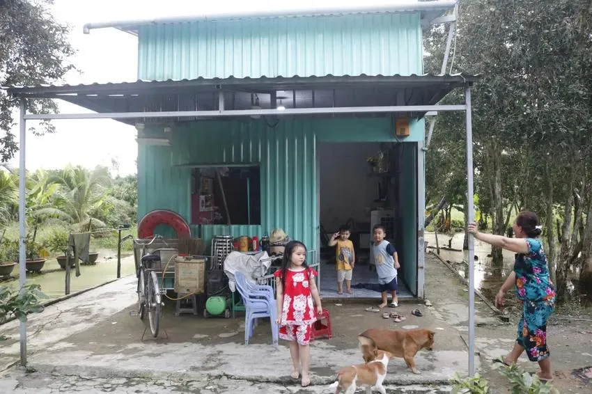 Dự án Sing Việt treo đã ba thập kỷ khiến người dân có đất trong dự án khốn khổ. Ảnh: PLO cu-tri-xa-binh-chanh-cu-buc-xuc-vi-du-an-treo-lien-quan-den-ba-truong-my-lan-03.jpg