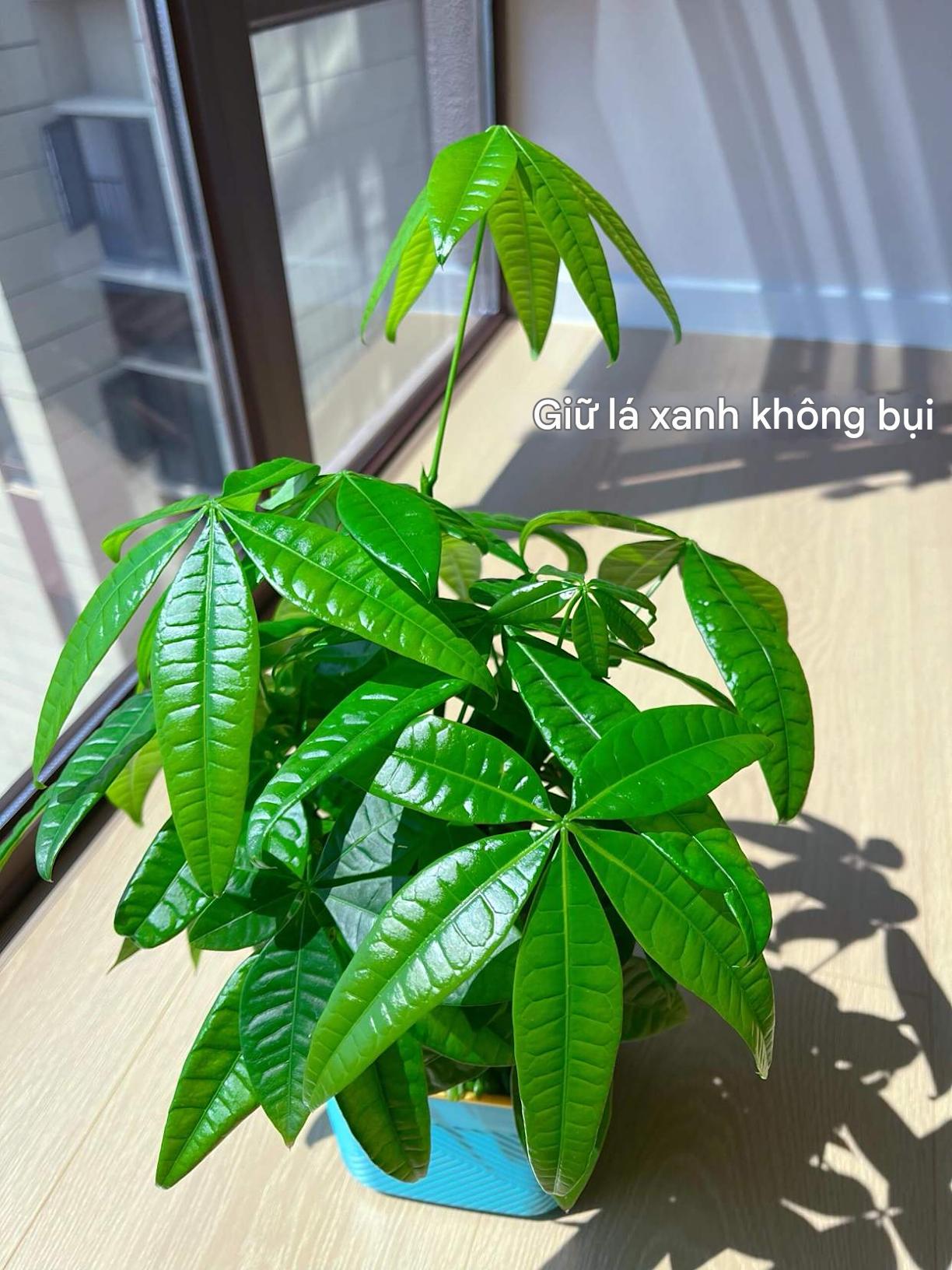 10 chi tiết 10 chi tiết