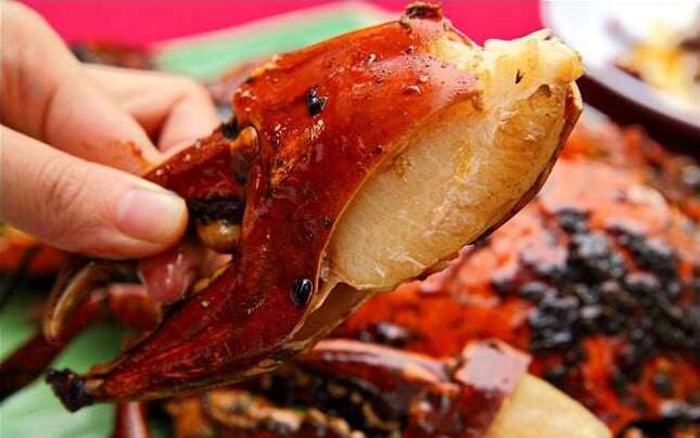 Thứ xưa chẳng ai biết nay là đặc sản siêu hiếm ở Hội An, phải dán tem kiểm định, giá đến 2 triệu/kg vẫn không có hàng để bán - 5