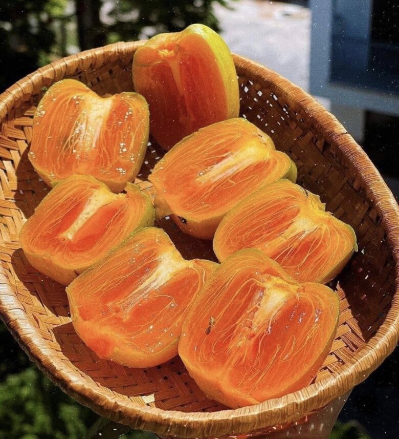 "Lộc trời ban" là đặc sản mỗi năm chỉ có một lần, dẻo giòn như thạch, giá 170 nghìn đồng/kg 2 Hồng da tre có vị ngọt thanh, dịu nhẹ, không gắt. Khi chín mềm, thịt quả dẻo, mọng nước, tan nơi đầu lưỡi. Hương thơm thoang thoảng, tự nhiên, gợi cảm giác mát lành, dễ chịu. Ăn một lần sẽ nhớ mãi vị ngon đặc trưng, đậm đà của núi rừng.