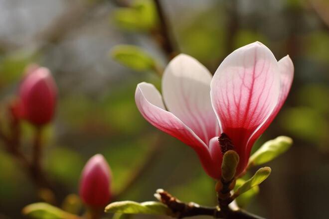 Phúc khí của một người nhiều hay ít, nhìn 4 thái độ này là rõ - 3