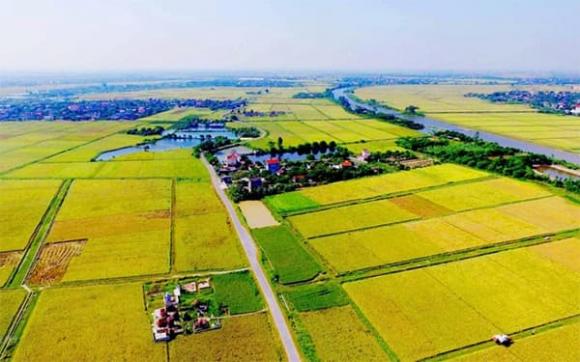 thu-hoi-dat-nong-nghiep-theo-quy-dinh-moi-nhatca-nhan-ho-gia-dinh-duoc-boi-thuong-nhu-the-nao (1).jpg 0 Luật Đất đai 2024, Thu hồi đất nông nghiệp, bồi thường đất nông nghiệp