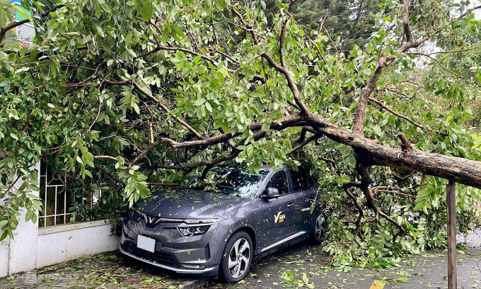 Chiếc VinFast VF8 bị cây đổ đè ở phố Hương Viên, Hai Bà Trưng, Hà Nội sau cơn bão Yagi năm 2025. Ảnh: Lương Dũng