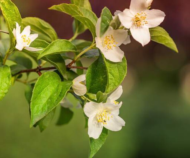 4 điều tưởng đơn giản nhưng làm được chứng tỏ bạn có tầm nhìn thực sự lớn - 1