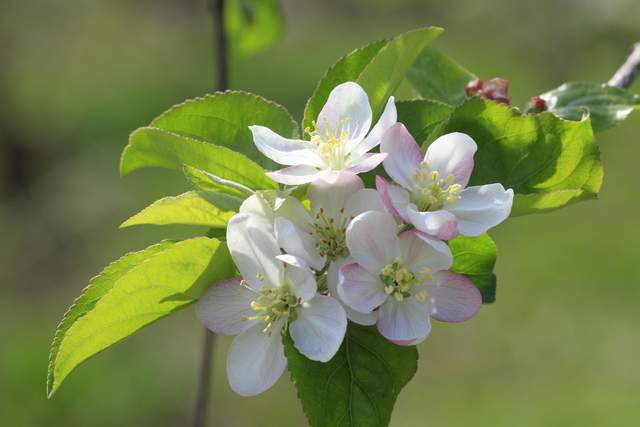 4 điều tưởng đơn giản nhưng làm được chứng tỏ bạn có tầm nhìn thực sự lớn - 2