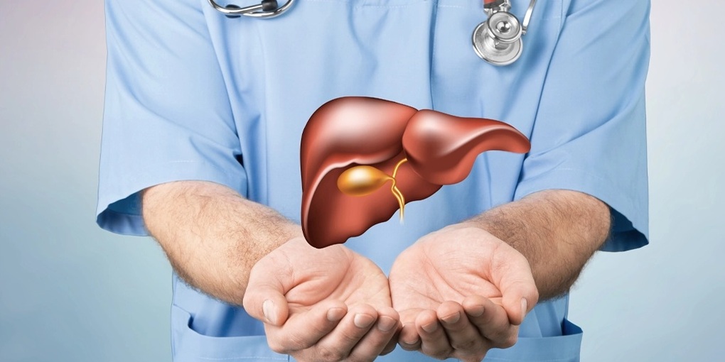 7 dấu hiệu vàng cho thấy bạn có lá gan khỏe mạnh - 1