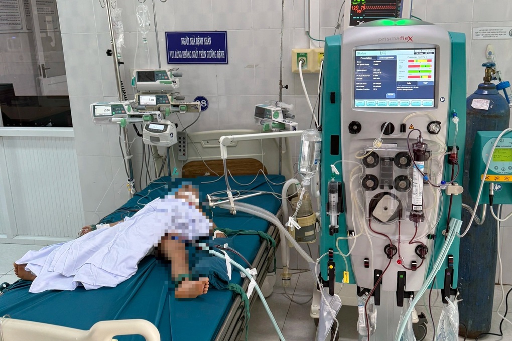 Ba em nhỏ bị ong vò vẽ tấn công, một nạn nhân 5 tuổi tử vong - 1