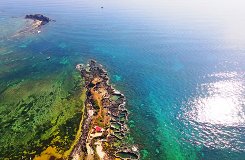 Cuộc thi viết “Chủ quyền quốc gia bất khả xâm phạm”: Bảo tồn biển gắn với tăng trưởng xanh - Ảnh 1. Cuộc thi viết “Chủ quyền quốc gia bất khả xâm phạm”: Bảo tồn biển gắn với tăng trưởng xanh - Ảnh 1.