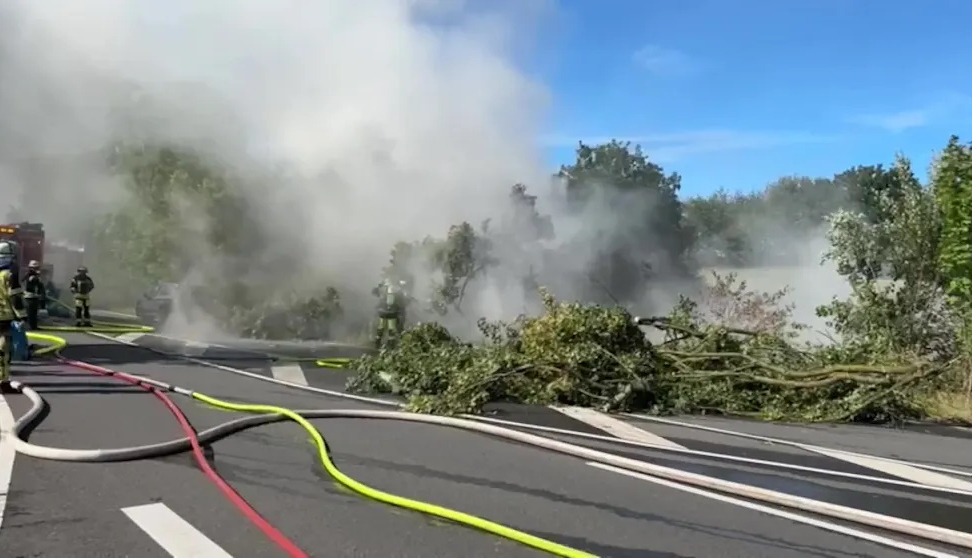 Bi kịch xe Tesla gặp tai nạn: 1 người lớn, 2 trẻ nhỏ thiệt mạng, nghi do tay nắm cửa không hoạt động 2 Bi kịch xe Tesla gặp tai nạn: 1 người lớn, 2 trẻ nhỏ thiệt mạng, nghi do tay nắm cửa không hoạt động - Ảnh 2.