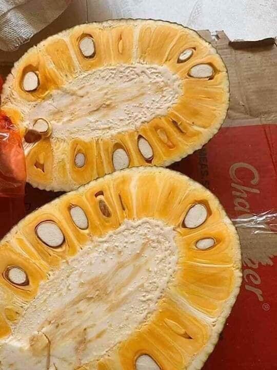 Bị nhựa mít dính vào tay cứ dùng 5 thứ này chà nhẹ là nhựa bong hết sạch, tha hồ bổ nhiều lần - 1