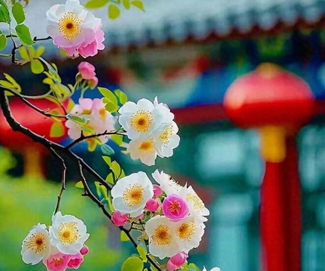 Cách thầm lặng nhất thể hiện sự giàu có không phải bằng nhà cửa hay tiền bạc mà là 3 điều này - 1