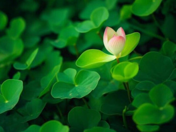 Càng dẫn con trải nghiệm 3 loại "va vấp" này sớm, con bạn càng thành công 5 Qua tuổi 50, không dễ dàng nói ra 3 điều này mới là khôn ngoan nhất