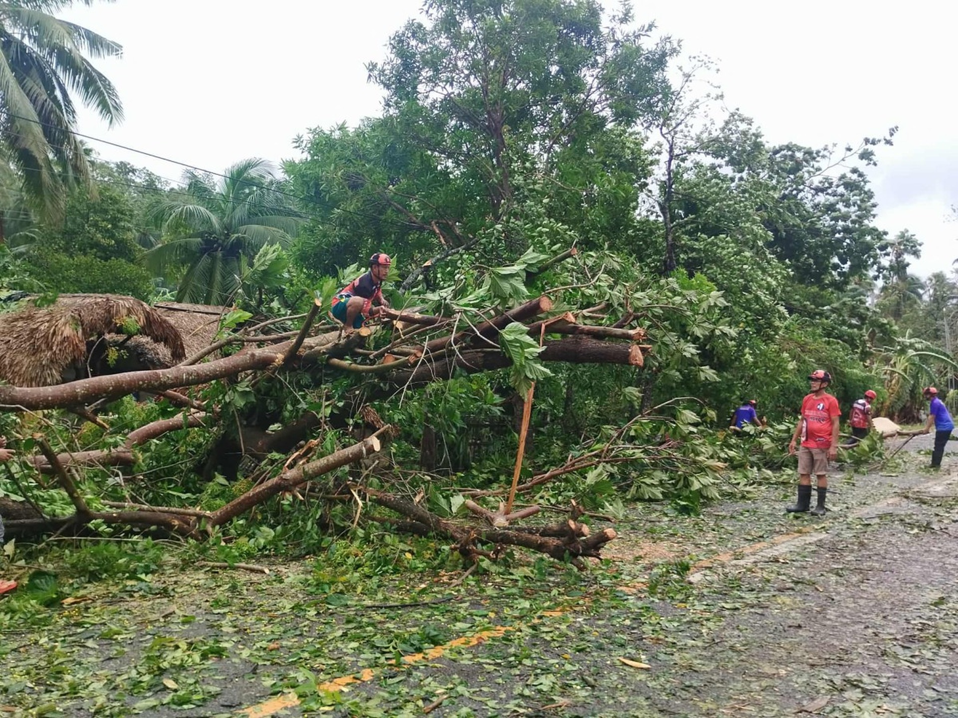 Cảnh tan hoang ở Philippines sau bão Bualoi khiến 14 người chết - 1 Cảnh tan hoang ở Philippines sau bão Bualoi khiến 14 người chết - 1