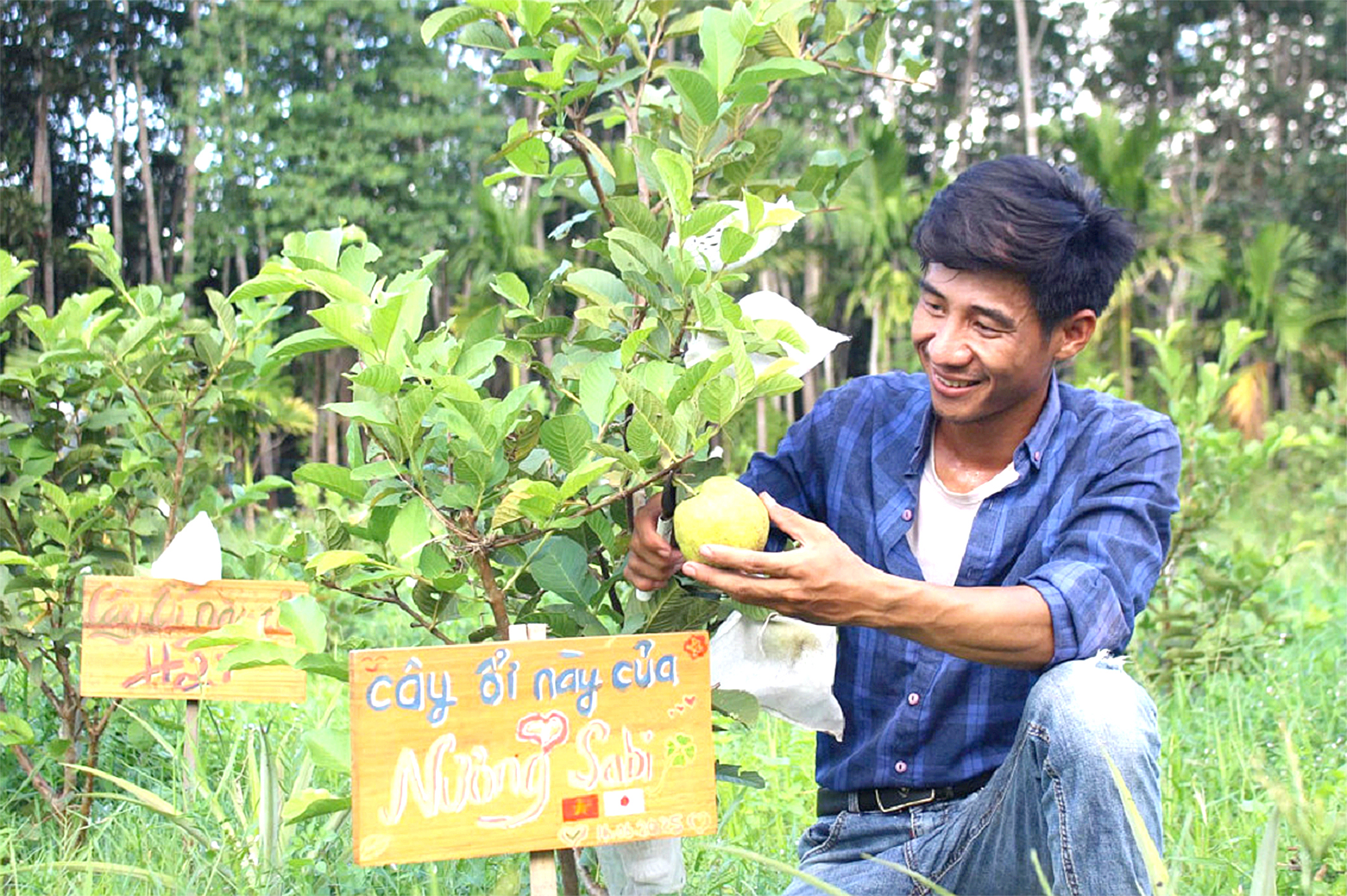 Về Ka Tư nghe chuyện làm nông nghiệp hữu cơ - Ảnh 1. Chàng trai bỏ phố về làm nông nghiệp hữu cơ ở Ka Tư - Ảnh 1.
