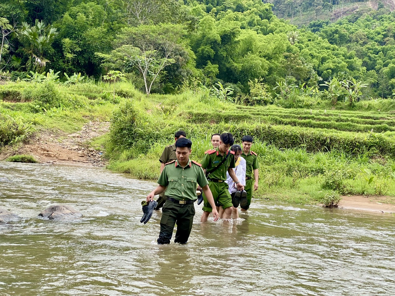 - Ảnh 1. - Ảnh 1.