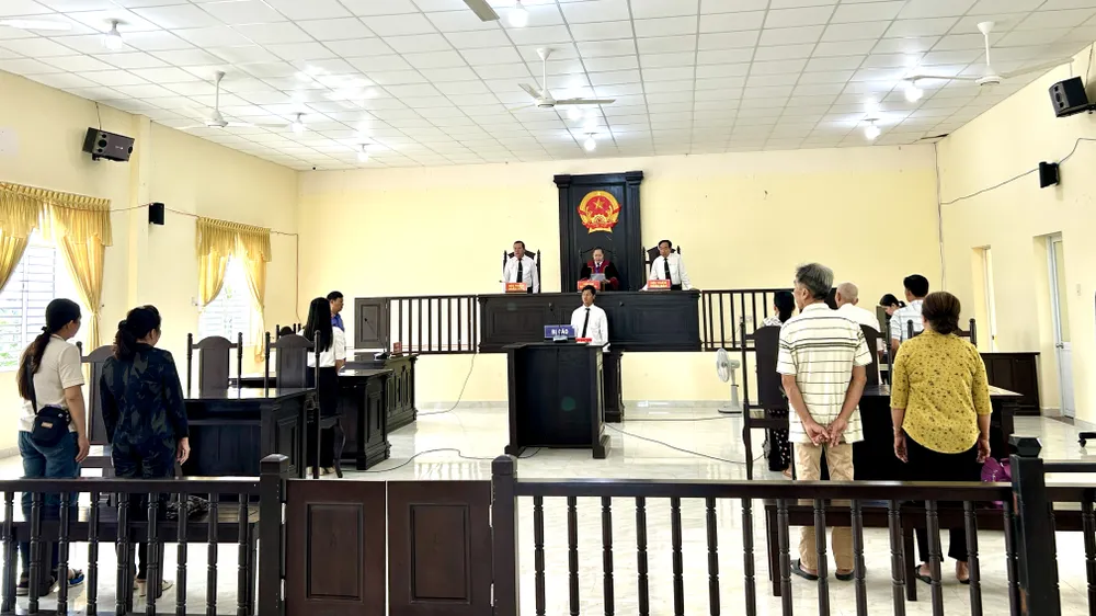 cụ bà 87 khởi kiện đòi lại đất đã cho vì cho rằng cháu nội không phụng dưỡng