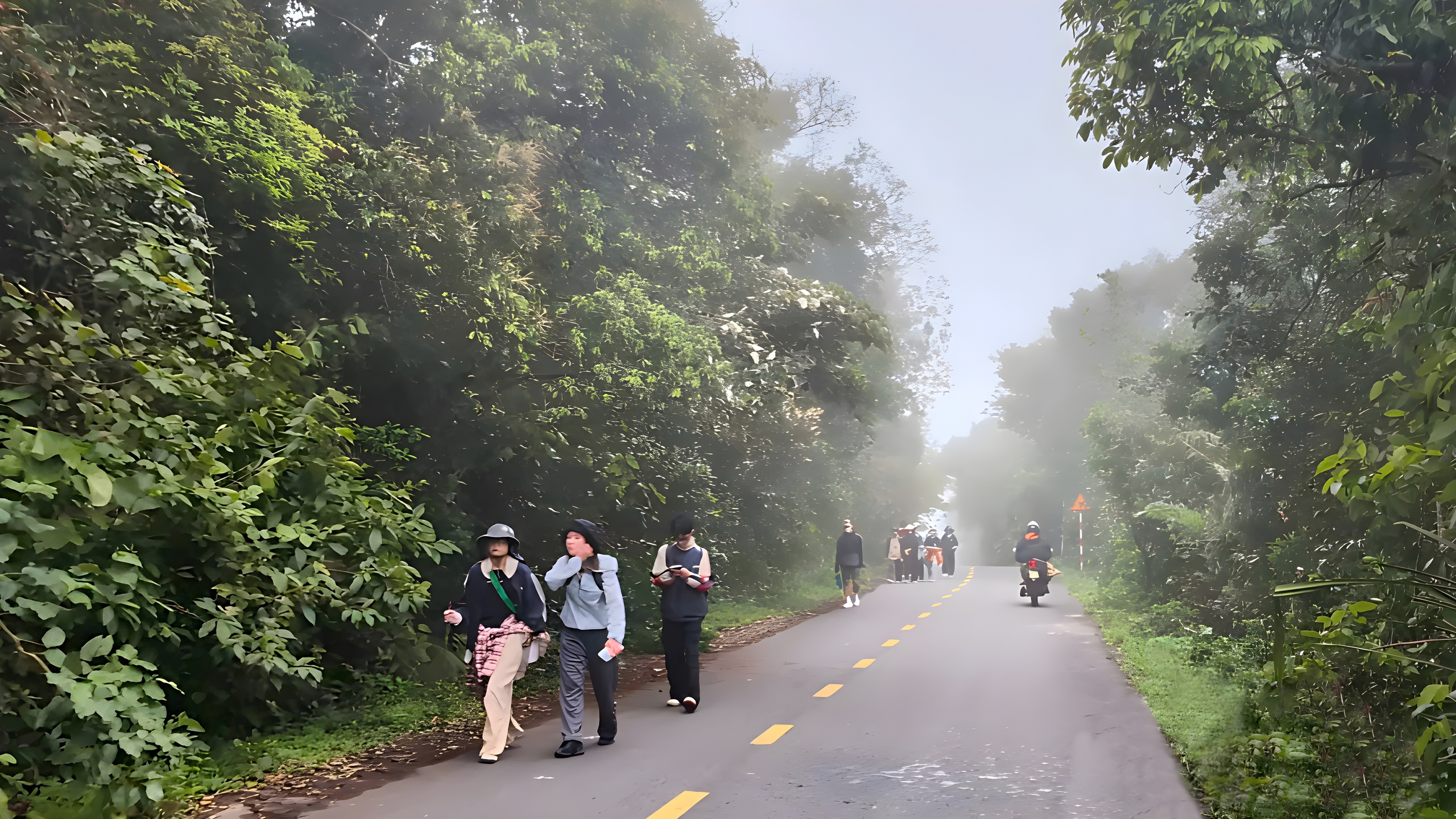 Cuối tuần, lên bán đảo Sơn Trà đi bộ- Ảnh 1. Cuối tuần, lên bán đảo Sơn Trà đi bộ- Ảnh 1.